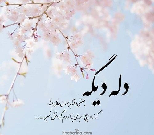 متن گلایه از همسر