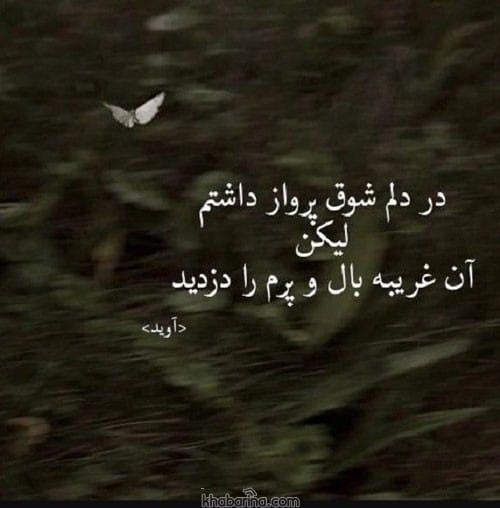 متن درباره پرواز