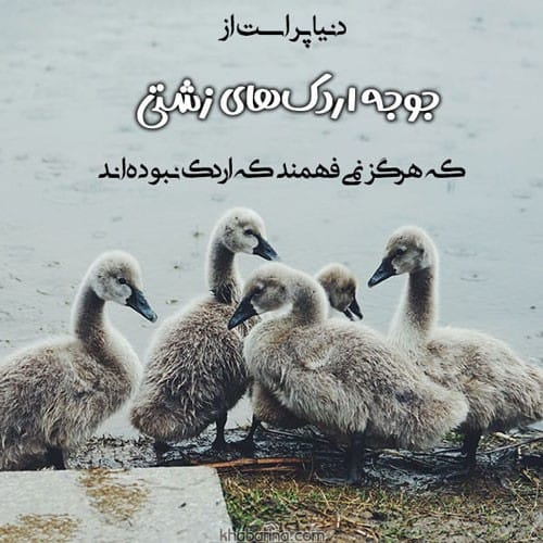 متن درباره پرواز