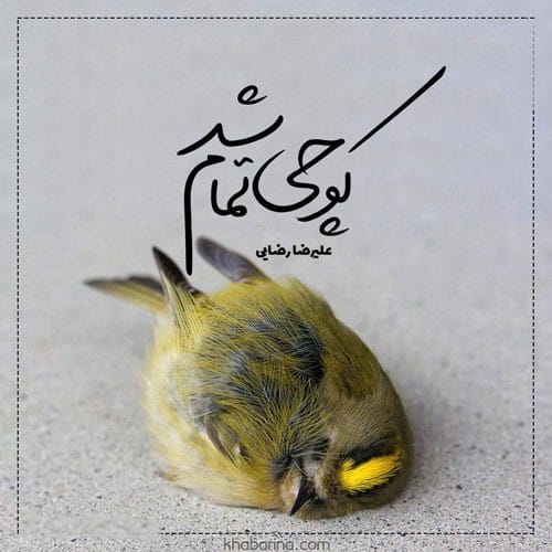 متن درباره پرواز