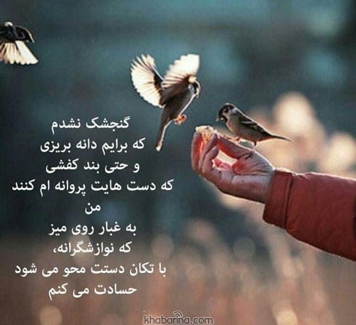 متن درباره پرواز