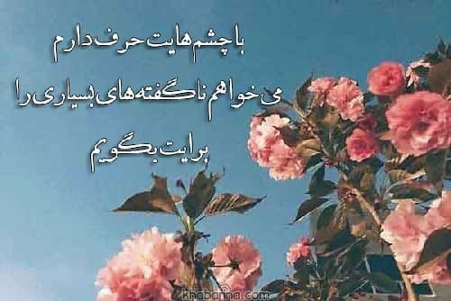 شعر نو عاشقانه
