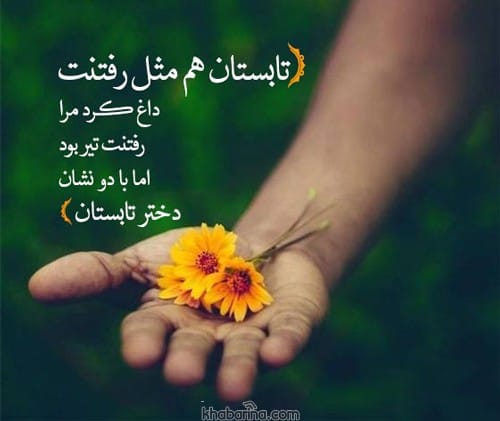 اشعار عاشقانه درباره تابستان