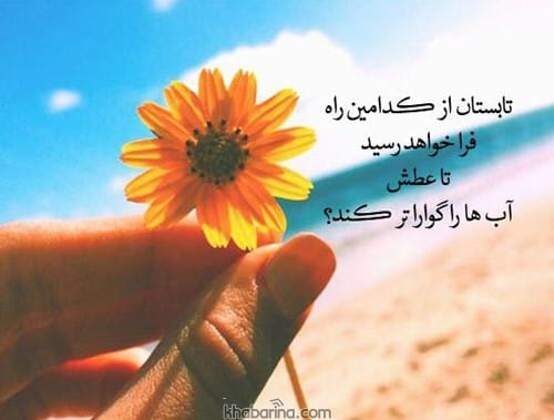 اشعار عاشقانه درباره تابستان