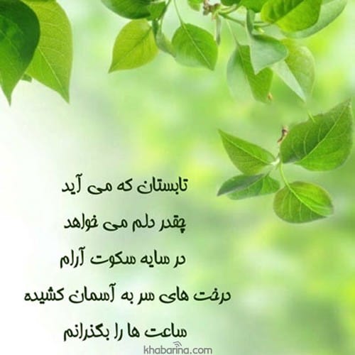 اشعار عاشقانه درباره تابستان