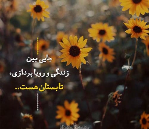 اشعار عاشقانه درباره تابستان