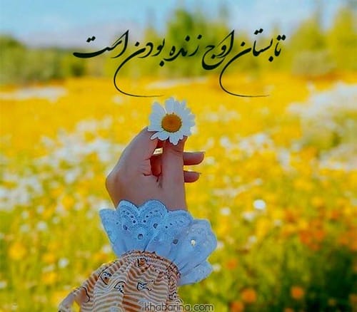 اشعار عاشقانه درباره تابستان
