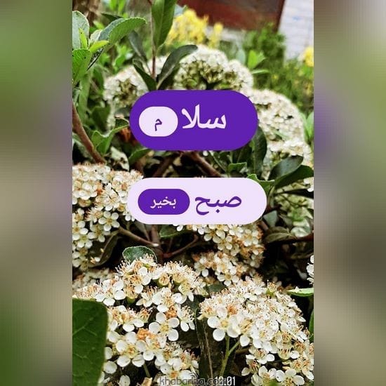 جدیدترین عکس نوشته صبح بخیر عاشقانه 2023
