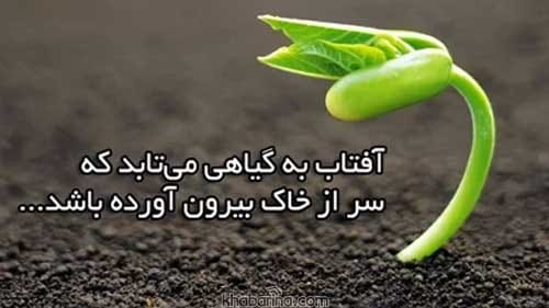 جملات زندگی هدفمند