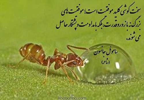 متن روانشناسی اثرگذار