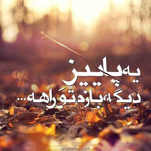 عکس پروفایل فصل پاییز