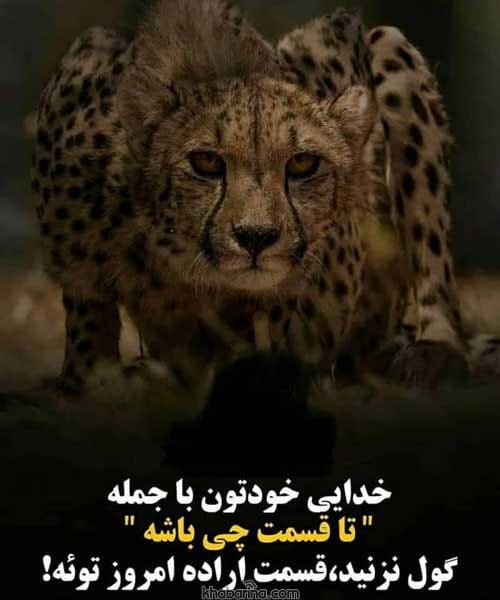 جملات ناب مسیر موفقیت