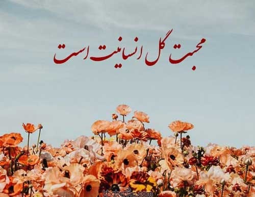 متن درباره زندگی با محبت