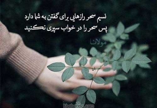 جملات شکفت انگیزه روزانه