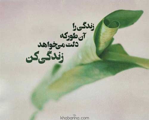 جملات زیبا زندگی و تجربه