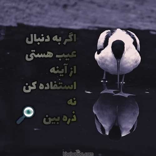 اشعار عیب یابی