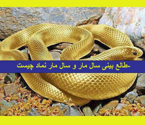 طالع بینی سال مار و سال مار نماد چیست