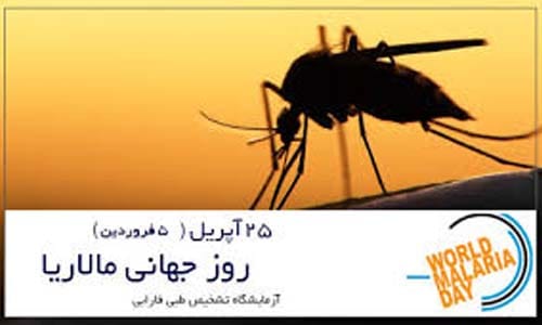 عکس روز جهانی مالاریا در سال 1404