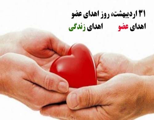 گرامیداشت روز جهانی اهدای عضو و اهدای زندگی در سال 1404