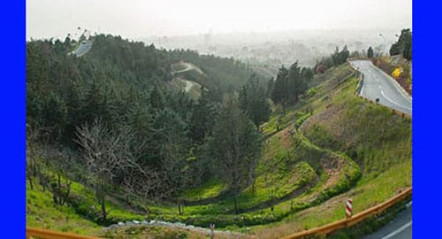 جنگل شیان در سریال اجل معلق کجاست؛ جریان سریال اجل معلق و جنگل شیان