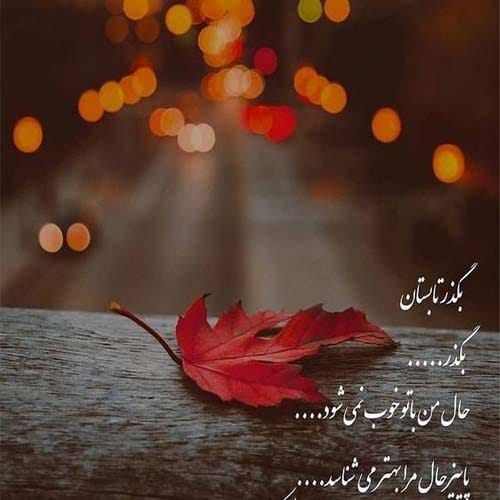 عکس پروفایل پاییزی همراه با برگ های پاییزی ۱۴۰۴ 