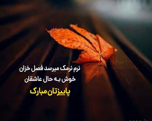 متن پاییزی 1404