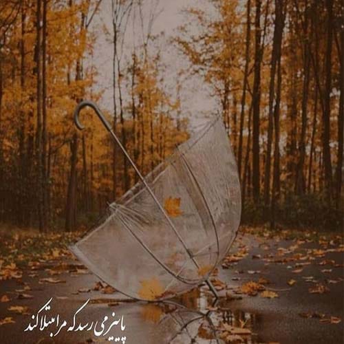 عکس پاییزی 1404