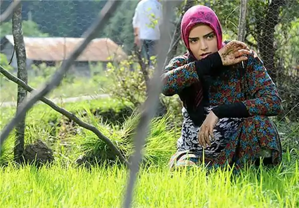 بیوگرافی بازیگر نقش گلرخ در سریال از یاد رفته (جوانی و پیری)