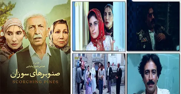 فیلم صنوبرهای سوزان